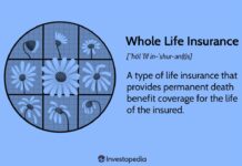 Term Life Insurance vs Whole Life Insurance Explained